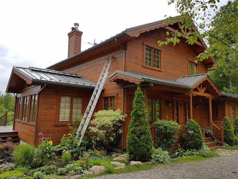 Log cabin-style wood house with a standing-seam metal roof, an extension ladder leaning against the wall, and a stone chimney, surrounded by lush garden plantings